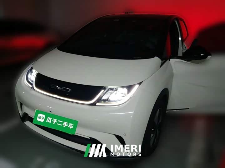 BYD Dolphin 420km Fashion Edition - ავტომობილი ჩინეთიდან