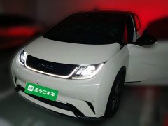 BYD Dolphin 420km Fashion Edition - ფოტო 1