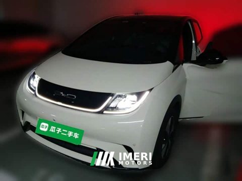 2023 BYD Dolphin 420km Fashion Edition - ავტომობილი ჩინეთიდან
