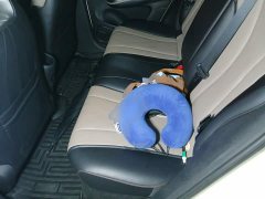 BYD Dolphin 420km Fashion Edition - ფოტო 13