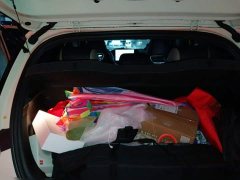 BYD Dolphin 420km Fashion Edition - ფოტო 15