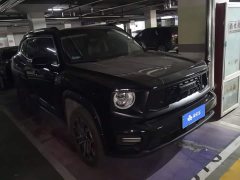 Haval Big Dog PLUS 2.0T Two-Wheel Drive Trendy Wilderness Edition Plus - ფოტო 1