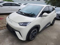 BYD Seagull Flying Edition - ფოტო 1
