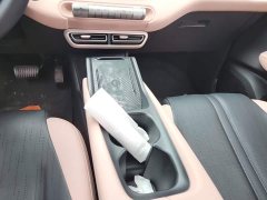 BYD Seagull Flying Edition - ფოტო 16