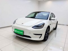 Tesla Model 3 Standard Range RWD Upgrade - ფოტო 1