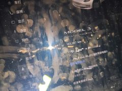 Tesla Model 3 Standard Range RWD Upgrade - ფოტო 13