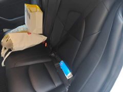 Tesla Model 3 Standard Range RWD Upgrade - ფოტო 18