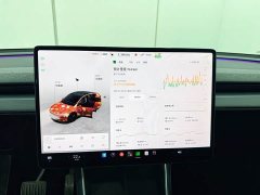 Tesla Model Y Rear-Wheel Drive - ფოტო 11