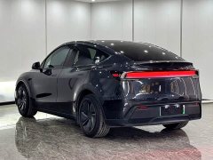 Tesla Model Y Rear-Wheel Drive - ფოტო 13