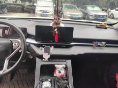 Haval H6 Third Generation 2.0T Automatic Two-Wheel Drive Max - ფოტო 13