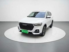Haval H6 National Trend Edition 1.5T Automatic Urban Version - ფოტო 1