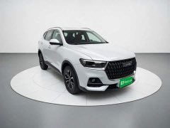 Haval H6 National Trend Edition 1.5T Automatic Urban Version - ფოტო 3