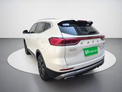 Haval H6 National Trend Edition 1.5T Automatic Urban Version - ფოტო 4