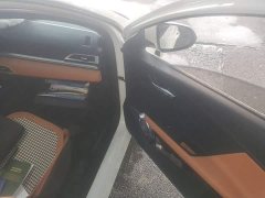 BYD e2 Luxury - ფოტო 19
