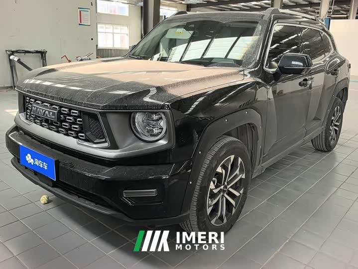 Haval Big Dog PLUS 2023 1.5T Two-Wheel Drive Trendy Wilderness Edition Plus - ავტომობილი ჩინეთიდან