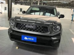 Haval Big Dog PLUS 2023 1.5T Two-Wheel Drive Trendy Wilderness Edition Plus - ფოტო 2
