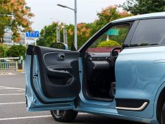 Dongfeng Nanotech 01 330 Air - ფოტო 6