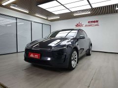 Tesla Model Y Long Range All-Wheel Drive Launch Edition - ფოტო 1