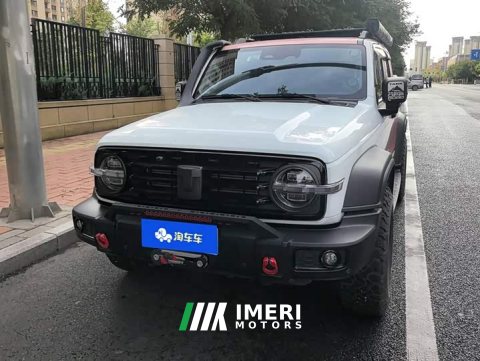 2021 Tank 300 Off-Road Edition 2.0T Conqueror - ავტომობილი ჩინეთიდან
