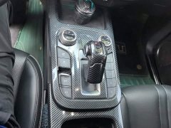 Tank 300 Off-Road Edition 2.0T Conqueror - ფოტო 16