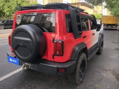 Tank 300 Off-Road Edition 2.0T Conqueror - ფოტო 3