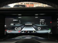 Tank 300 Off-Road Edition 2.0T Conqueror - ფოტო 8