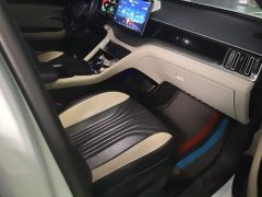 BYD Song Plus New Energy 2021 DM-i 110KM Flagship - ფოტო 8