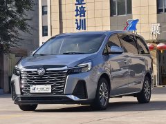 Buick GL8 2023 Land Executive Cabin Premium - ფოტო 1