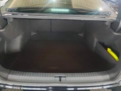 Volkswagen Passat 380TSI Starry Sky Elite - ფოტო 4