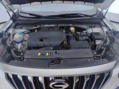 GAC Aion GS4 PLUS 2021 270T Automatic Starlight Edition - ფოტო 10