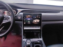 GAC Aion GS4 PLUS 2021 270T Automatic Starlight Edition - ფოტო 13