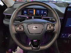 Ford Mustang Mach-E 2021 Boundless RWD Luxury Long Range - ფოტო 15