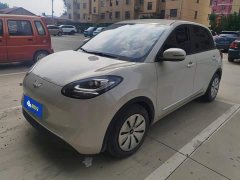 Wuling Binguo 203km Light Enjoy Edition - ფოტო 1