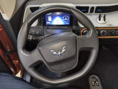 Wuling Hongguang MINIEV 2020 Zizai Edition LFP Battery - ფოტო 15