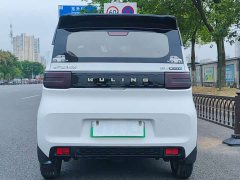 BMW Hongguang MINIEV 2020 Zizai Edition LFP Battery - ფოტო 8