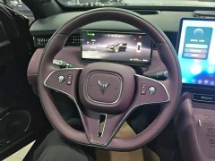 Voyah Lantu FREE 318 318km RWD Navigation Edition - ფოტო 15