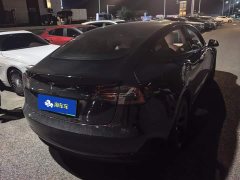 Tesla Model 3 Standard Range RWD Upgrade - ფოტო 3
