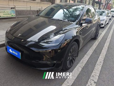 2021 Tesla Model Y Standard Range RWD - ავტომობილი ჩინეთიდან