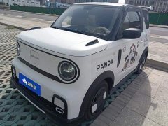 Geely Panda 210km Panda Kart - ფოტო 1