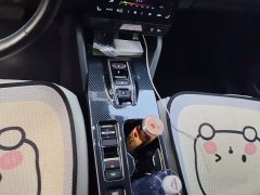 Honda NP1 Jipai 1 510km Zhanjiji Edition - ფოტო 16