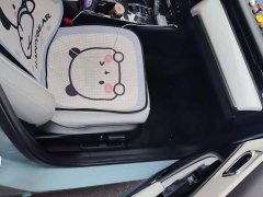 Honda NP1 Jipai 1 510km Zhanjiji Edition - ფოტო 8