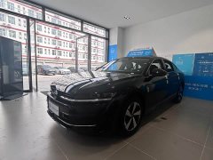 Volkswagen Magotan 300TSI Respect Edition Eye-catching Package - ფოტო 1