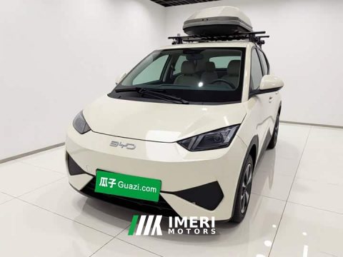 2025 BYD Seagull 305km Vitality Edition - ავტომობილი ჩინეთიდან