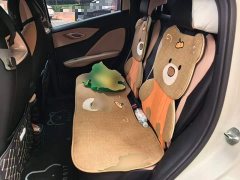 BYD Seagull 305km Vitality Edition - ფოტო 18