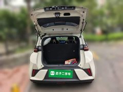 BYD Seagull 305km Vitality Edition - ფოტო 20