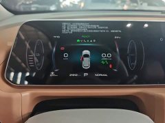 ORA Good Cat 401km Deluxe 135kW - ფოტო 14