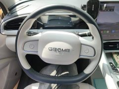 Geely Xing Yuan UP 410km Explorer Edition - ფოტო 15