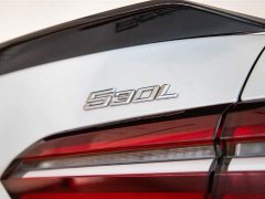 BMW 5 Series 530Li Luxury Edition Premium Package - ფოტო 8