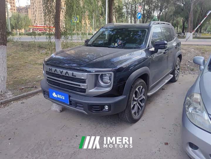 Great Wall Dachshund 1.5T DCT Border Collie Edition - ავტომობილი ჩინეთიდან