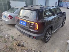 Great Wall Dachshund 1.5T DCT Border Collie Edition - ფოტო 3